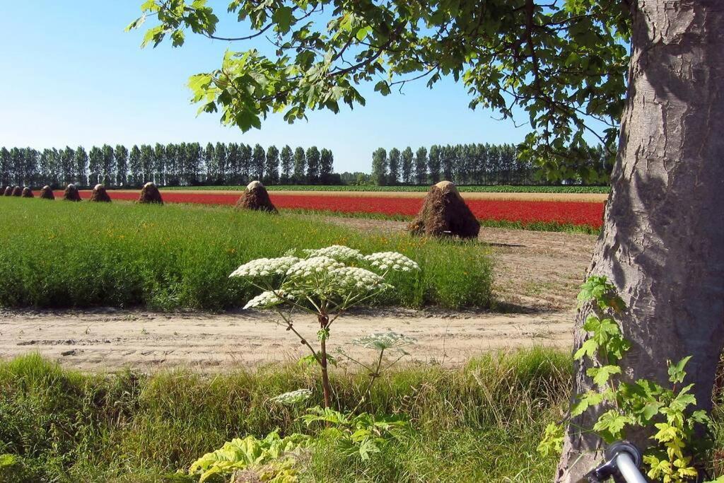 Logeren Op De Thoolse Parel Vakantiehuis Stavenisse Exteriör bild